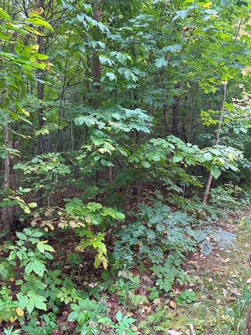 000 Woodland Drive Ne, Kalkaska, MI 49646