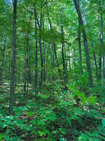 000 Woodland Drive Ne, Kalkaska, MI 49646