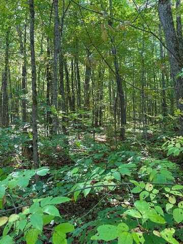 000 Woodland Drive Ne, Kalkaska, MI 49646