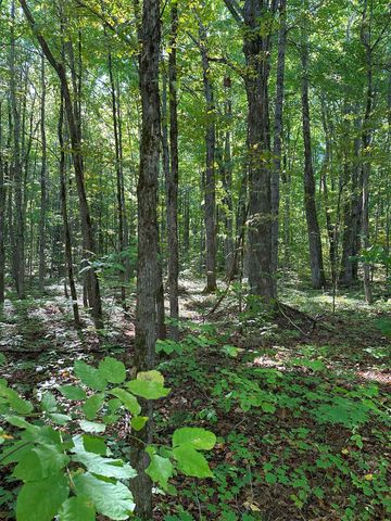 000 Woodland Drive Ne, Kalkaska, MI 49646