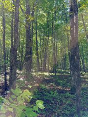 000 Woodland Drive Ne, Kalkaska, MI 49646