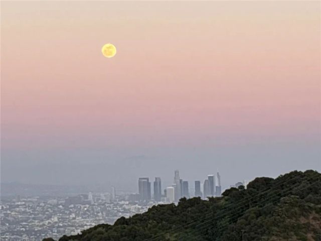 8656 Skyline, Los Angeles, CA 90046