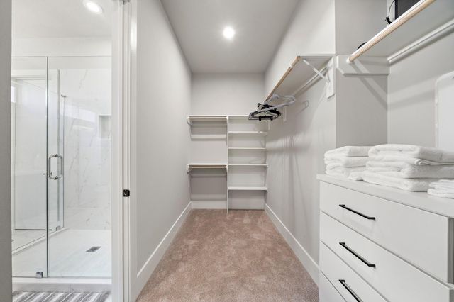 3515 Hutchins Street, Houston, TX 77004