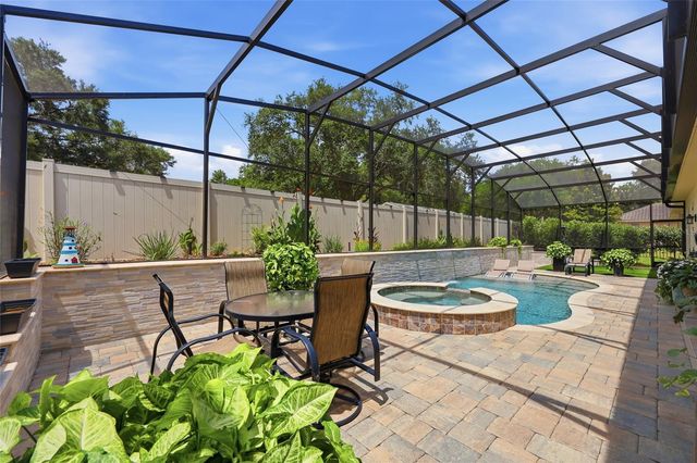 12825 BRUNELLO CIRCLE, Clermont, FL 34711