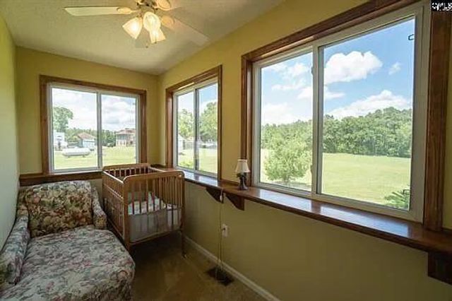 596 Neeses Hwy Highway, Orangeburg, SC 29115