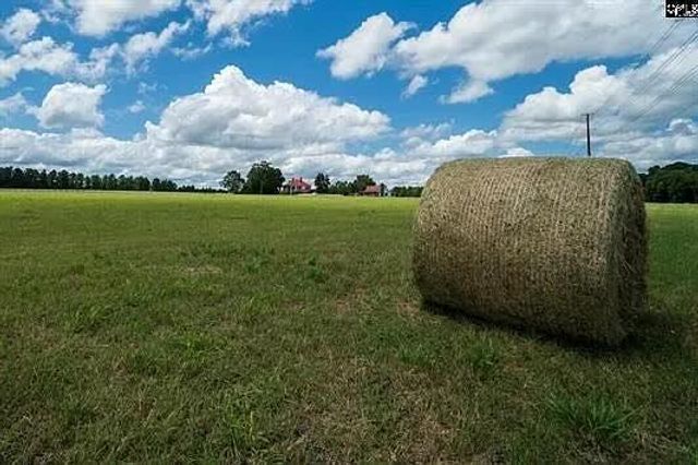 596 Neeses Hwy Highway, Orangeburg, SC 29115