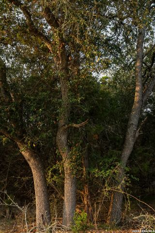 1648 Noble Trl, Canyon Lake, TX 78133