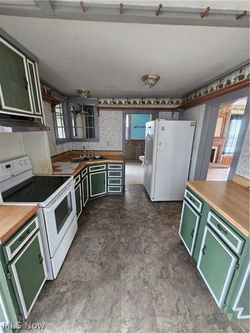 217 S High Street, Freeport, OH 43973