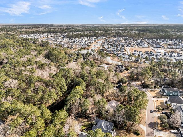 3786 Saint Ellens Drive, Mount Pleasant, SC 29466