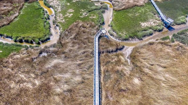 3786 Saint Ellens Drive, Mount Pleasant, SC 29466