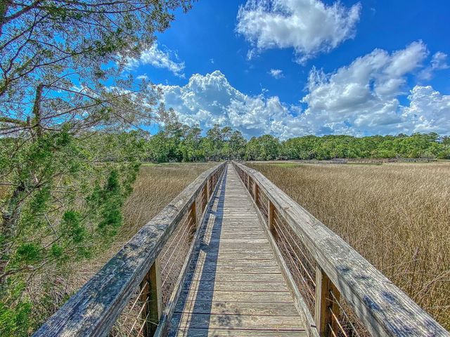 3786 Saint Ellens Drive, Mount Pleasant, SC 29466