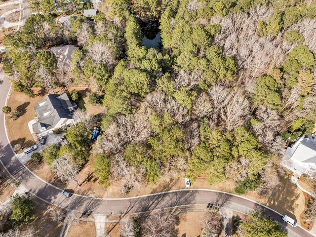 3786 Saint Ellens Drive, Mount Pleasant, SC 29466