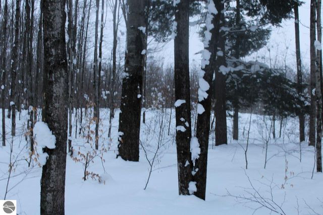 6583 NE Boulder Lane, Mancelona, MI 49659