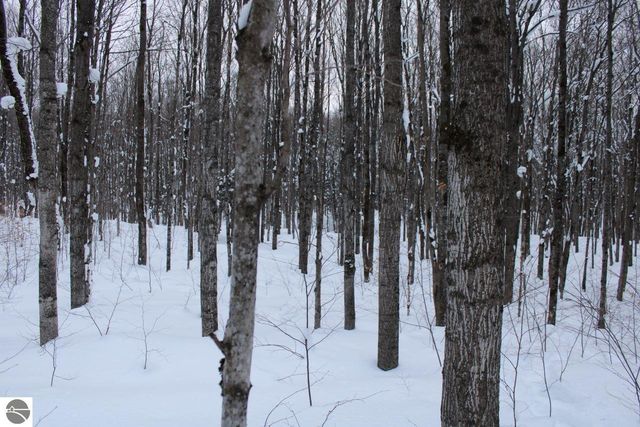 6583 NE Boulder Lane, Mancelona, MI 49659