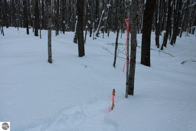 6583 NE Boulder Lane, Mancelona, MI 49659