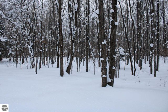 6583 NE Boulder Lane, Mancelona, MI 49659