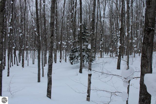 6583 NE Boulder Lane, Mancelona, MI 49659