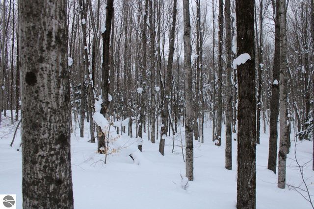 6583 NE Boulder Lane, Mancelona, MI 49659