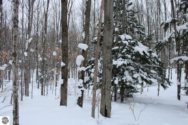 6583 NE Boulder Lane, Mancelona, MI 49659