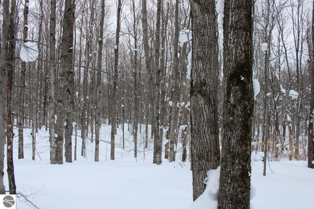 6583 NE Boulder Lane, Mancelona, MI 49659