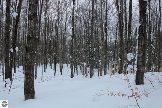 6583 NE Boulder Lane, Mancelona, MI 49659