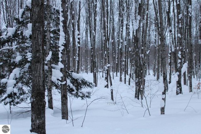 6583 NE Boulder Lane, Mancelona, MI 49659