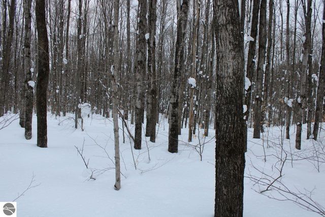 6583 NE Boulder Lane, Mancelona, MI 49659