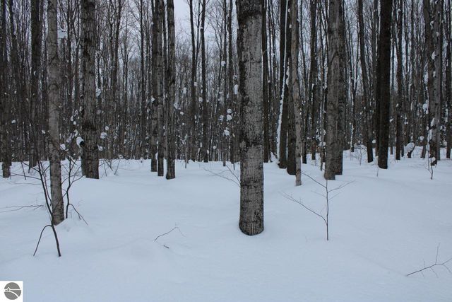 6583 NE Boulder Lane, Mancelona, MI 49659