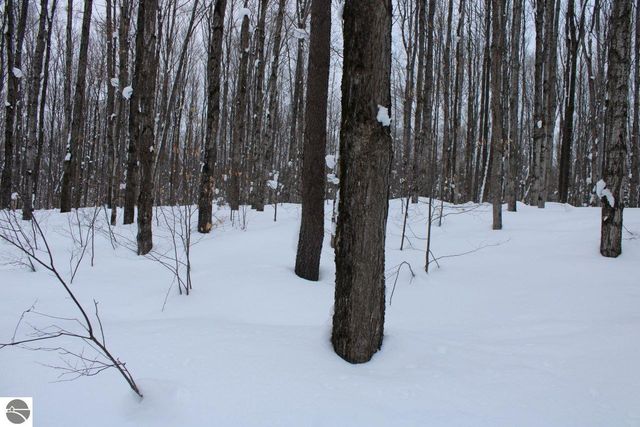 6583 NE Boulder Lane, Mancelona, MI 49659