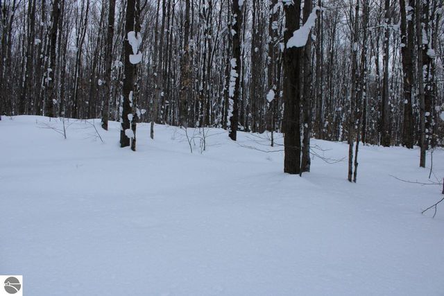 6583 NE Boulder Lane, Mancelona, MI 49659