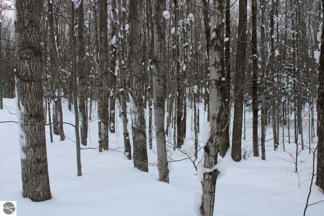 6583 NE Boulder Lane, Mancelona, MI 49659