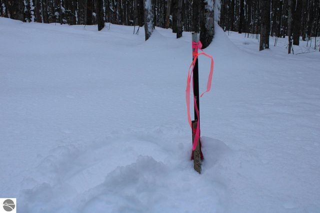 6583 NE Boulder Lane, Mancelona, MI 49659