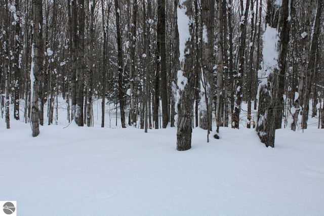 6583 NE Boulder Lane, Mancelona, MI 49659