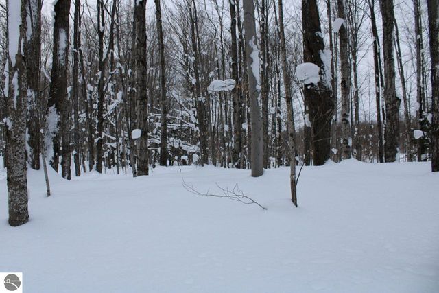 6583 NE Boulder Lane, Mancelona, MI 49659