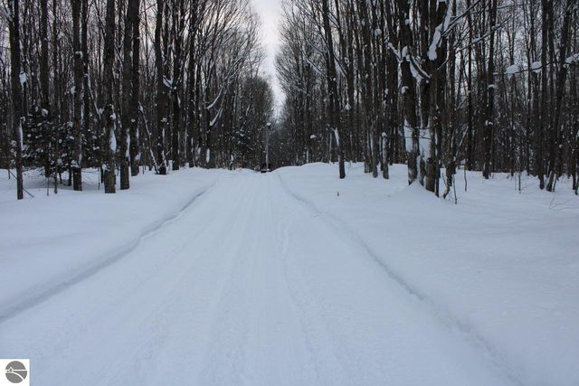 6583 NE Boulder Lane, Mancelona, MI 49659