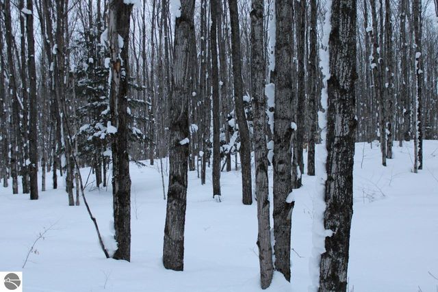 6583 NE Boulder Lane, Mancelona, MI 49659