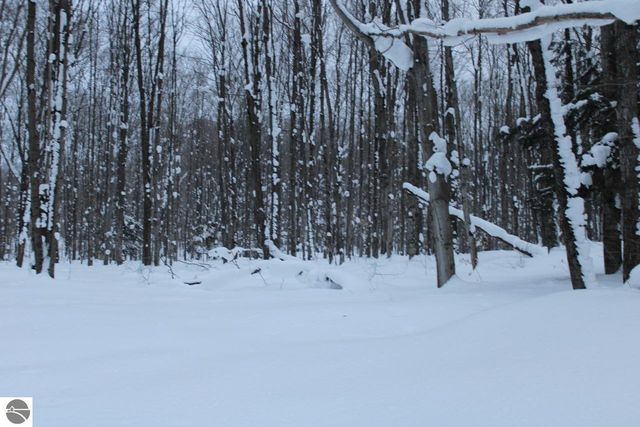 6583 NE Boulder Lane, Mancelona, MI 49659