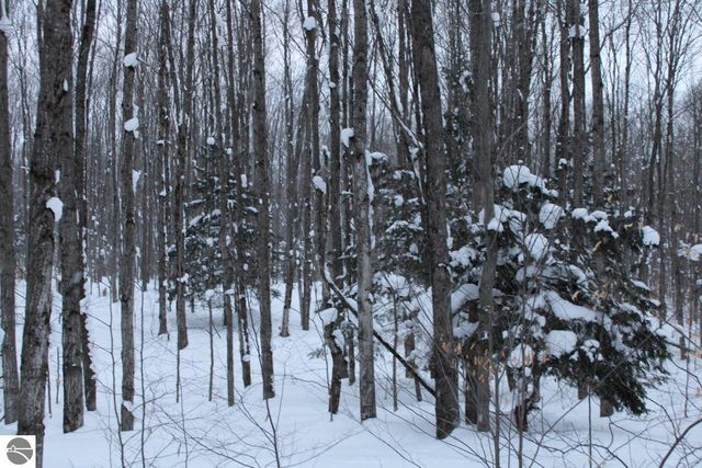 6583 NE Boulder Lane, Mancelona, MI 49659