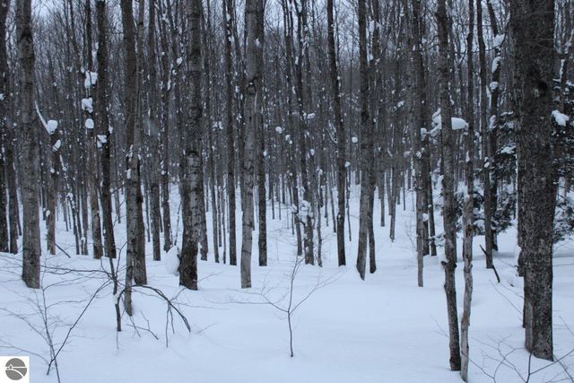 6583 NE Boulder Lane, Mancelona, MI 49659