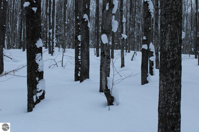 6583 NE Boulder Lane, Mancelona, MI 49659