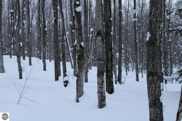 6583 NE Boulder Lane, Mancelona, MI 49659