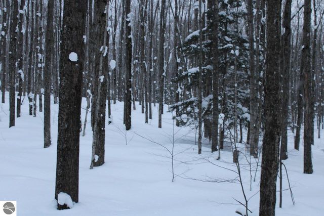 6583 NE Boulder Lane, Mancelona, MI 49659