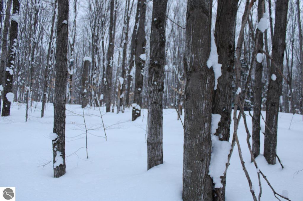 6583 NE Boulder Lane, Mancelona, MI 49659