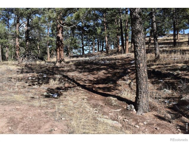 1477 Kiowa Road, Lyons, CO 80540