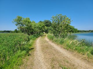26373 Anna Lake Road, Underwood, MN 56586