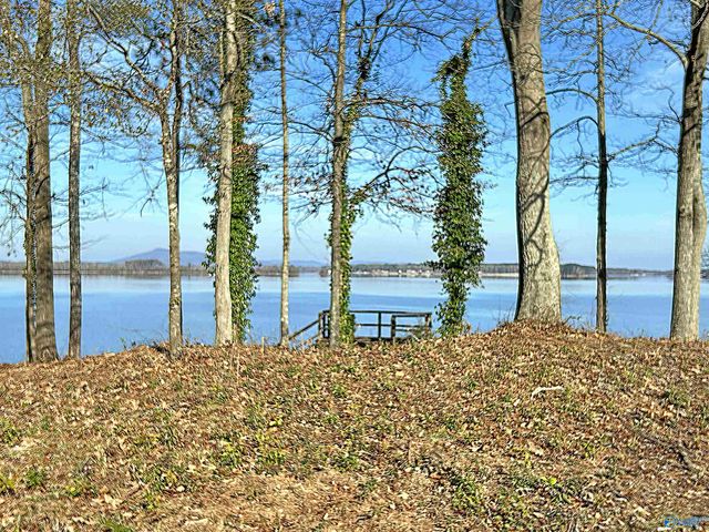 Lot 8 County Road 519, Centre, AL 35960