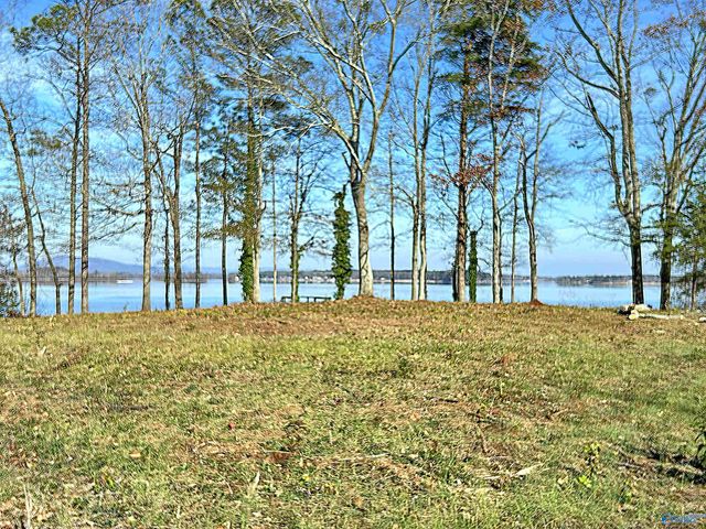 Lot 8 County Road 519, Centre, AL 35960