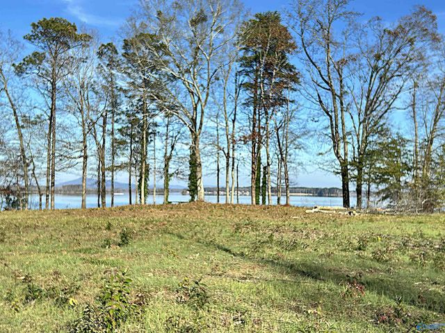 Lot 8 County Road 519, Centre, AL 35960
