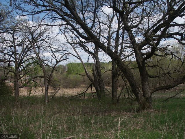 TBD 185 Ave SE, Big Lake, MN 55309