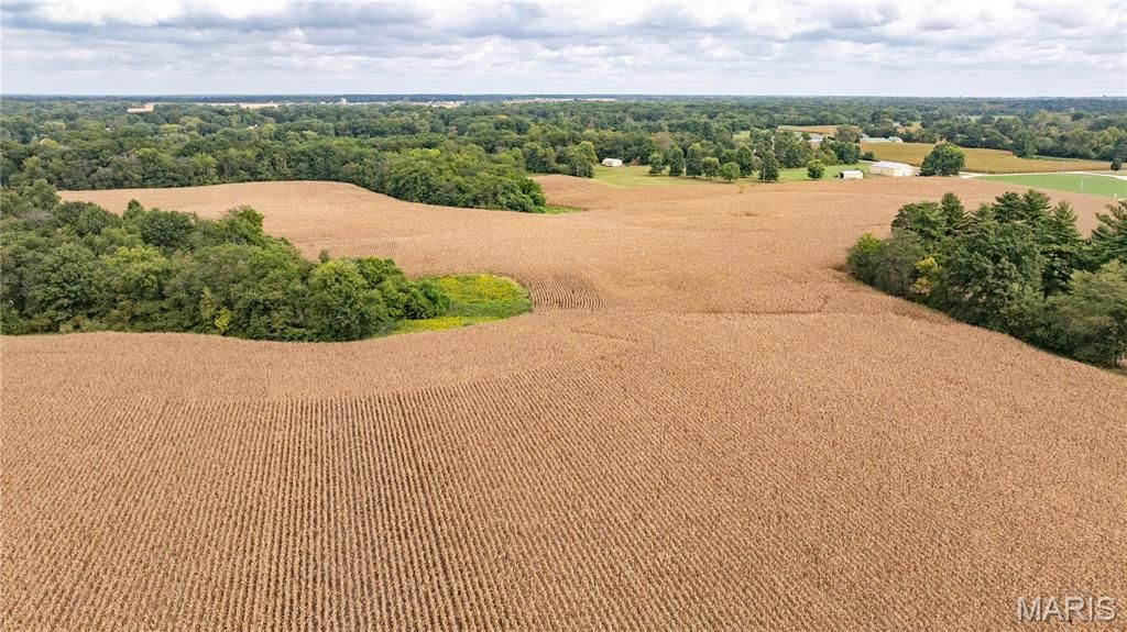 Image 13 of property listing at TBD Morning Star Lane, Brighton, IL 62012